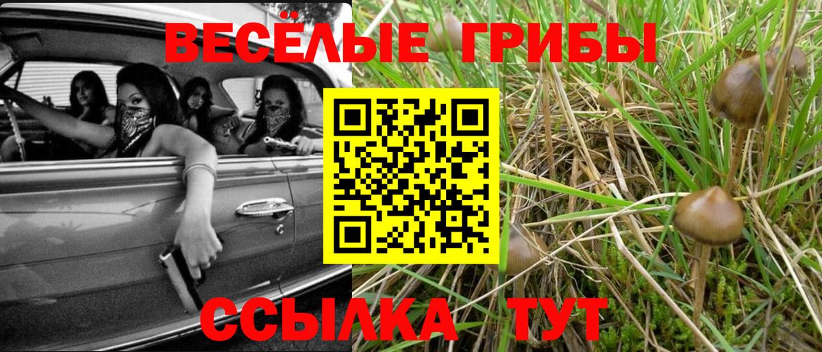 Сорочинск  Псилоцибиновые грибы GOLDEN TEACHER  Псилоцибиновые грибы Psilocybe  Вход с VPN 